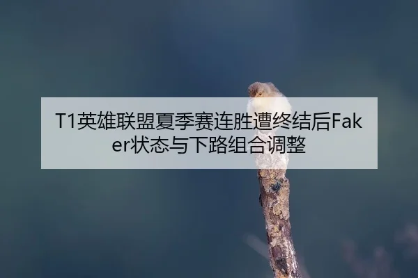 ying-xiong-lian-meng-xia-ji-sai-lian-sheng-zao-zhong-jie-hou-zhuang-tai-yu-xia-lu-zu-he-tiao-zheng-2-327.jpg