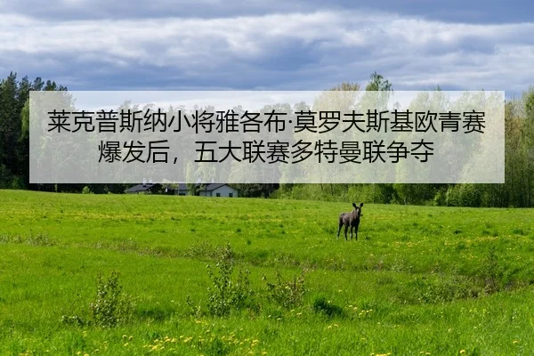 lai-ke-pu-si-na-xiao-jiang-ya-ge-bu-mo-luo-fu-si-ji-ou-qing-sai-bao-fa-hou-wu-da-lian-sai-duo-te-man-lian-zheng-duo-2-521.jpg