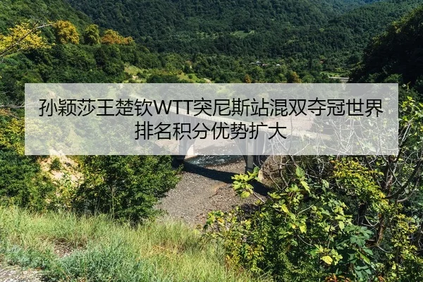 sun-ying-sha-wang-chu-qin-tu-ni-si-zhan-hun-shuang-duo-guan-shi-jie-pai-ming-ji-fen-you-shi-kuo-da-2-403.jpg